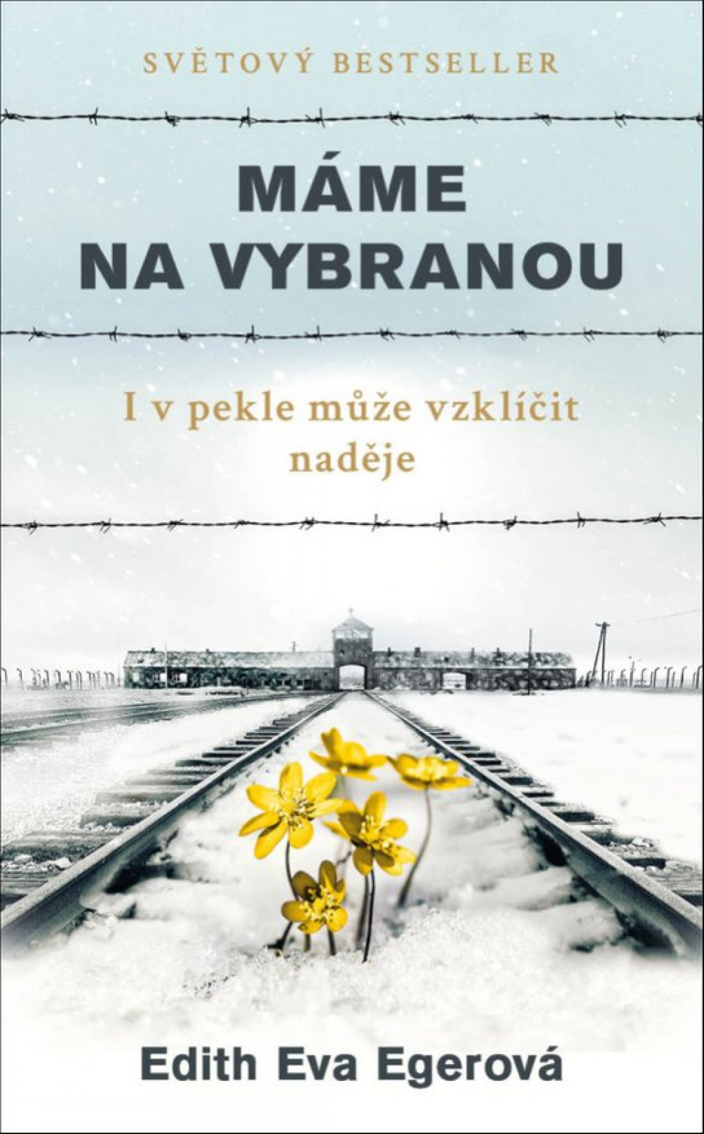 1mame_na_vybranou.jpg