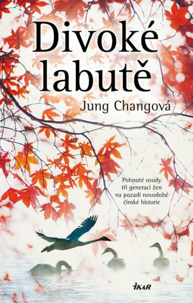 divoke-labute-9788024942155_3.jpg