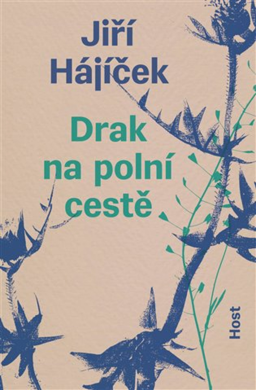 drak_na_polni_ceste.jpg