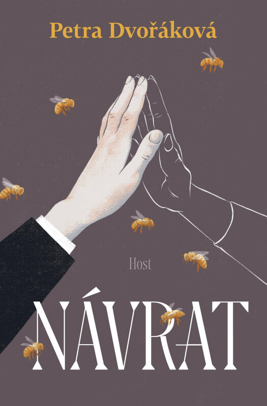 navrat.jpg
