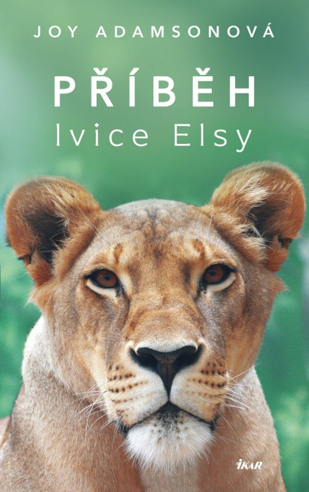 pribeh_lvice_elsy.jpg